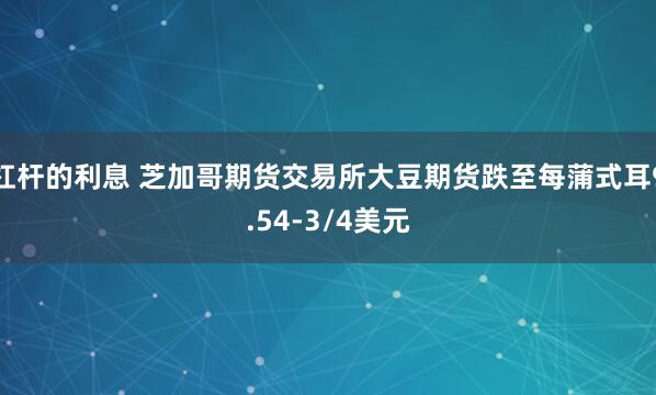 杠杆的利息 芝加哥期货交易所大豆期货跌至每蒲式耳9.54-3/4美元
