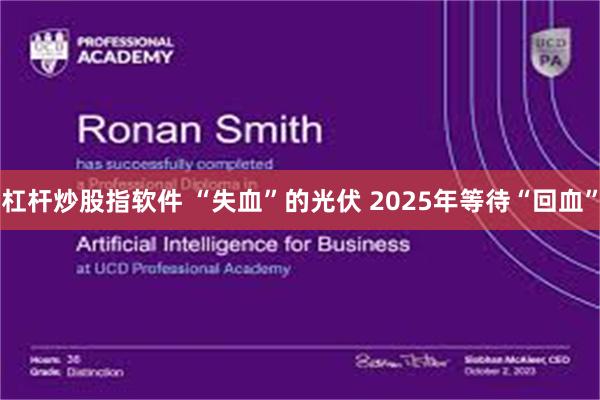 杠杆炒股指软件 “失血”的光伏 2025年等待“回血”