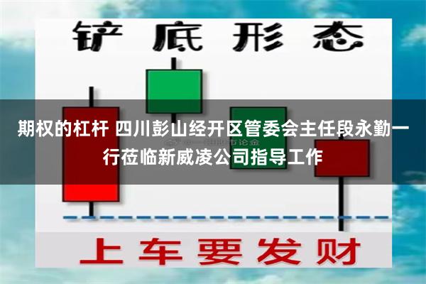 期权的杠杆 四川彭山经开区管委会主任段永勤一行莅临新威凌公司指导工作