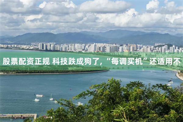 股票配资正规 科技跌成狗了, “每调买机”还适用不