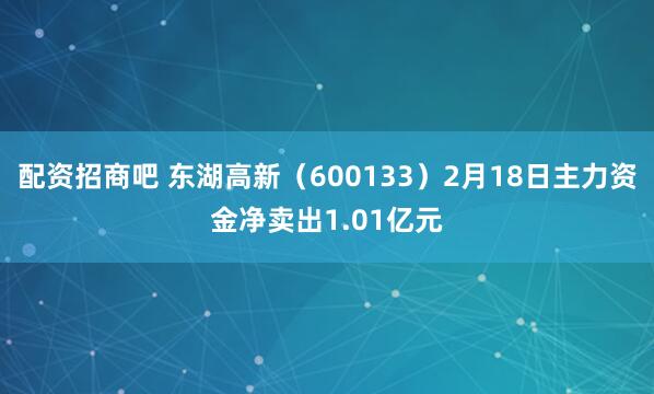 配资招商吧 东湖高新（600133）2月18日主力资金净卖出1.01亿元