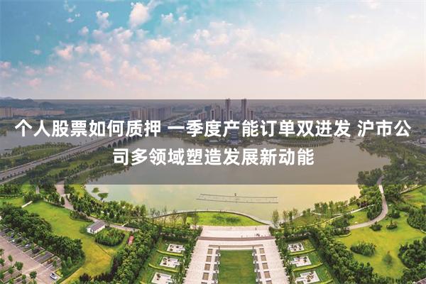 个人股票如何质押 一季度产能订单双迸发 沪市公司多领域塑造发展新动能