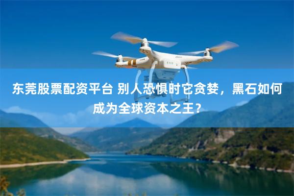 东莞股票配资平台 别人恐惧时它贪婪，黑石如何成为全球资本之王？