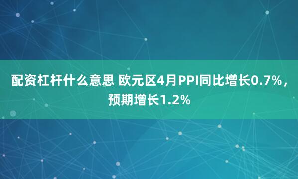 配资杠杆什么意思 欧元区4月PPI同比增长0.7%，预期增长1.2%