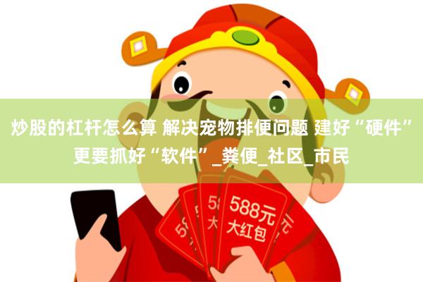炒股的杠杆怎么算 解决宠物排便问题 建好“硬件”更要抓好“软件”_粪便_社区_市民
