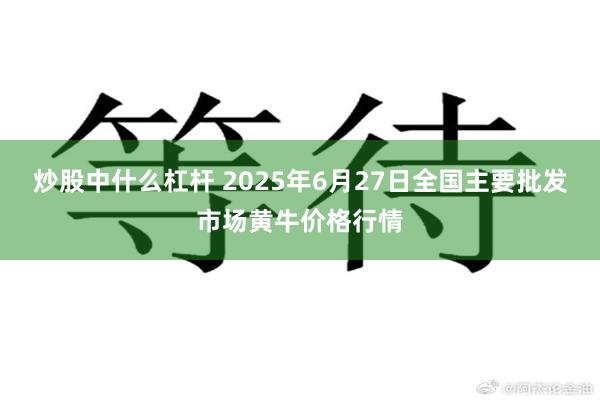 炒股中什么杠杆 2025年6月27日全国主要批发市场黄牛价格行情