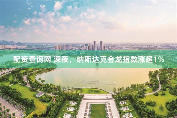 配资查询网 深夜，纳斯达克金龙指数涨超1%