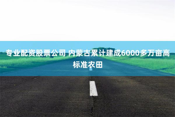 专业配资股票公司 内蒙古累计建成6000多万亩高标准农田