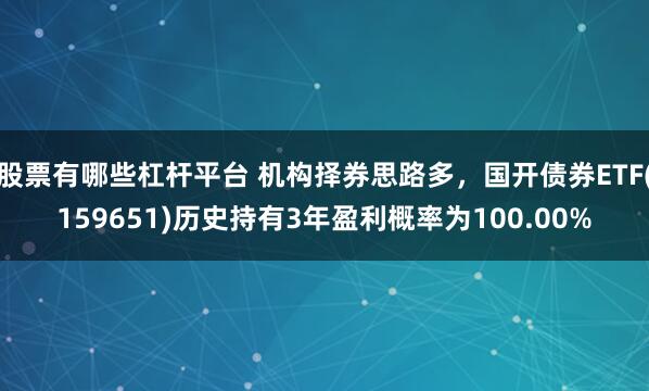 股票有哪些杠杆平台 机构择券思路多，国开债券ETF(159651)历史持有3年盈利概率为100.00%