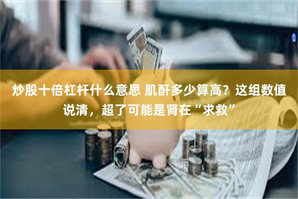 炒股十倍杠杆什么意思 肌酐多少算高？这组数值说清，超了可能是肾在“求救”