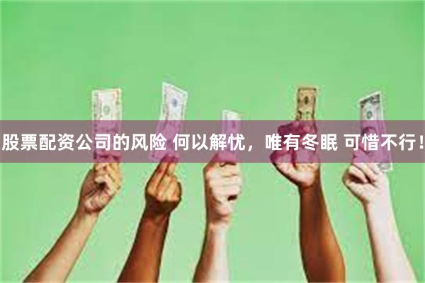 股票配资公司的风险 何以解忧，唯有冬眠 可惜不行！